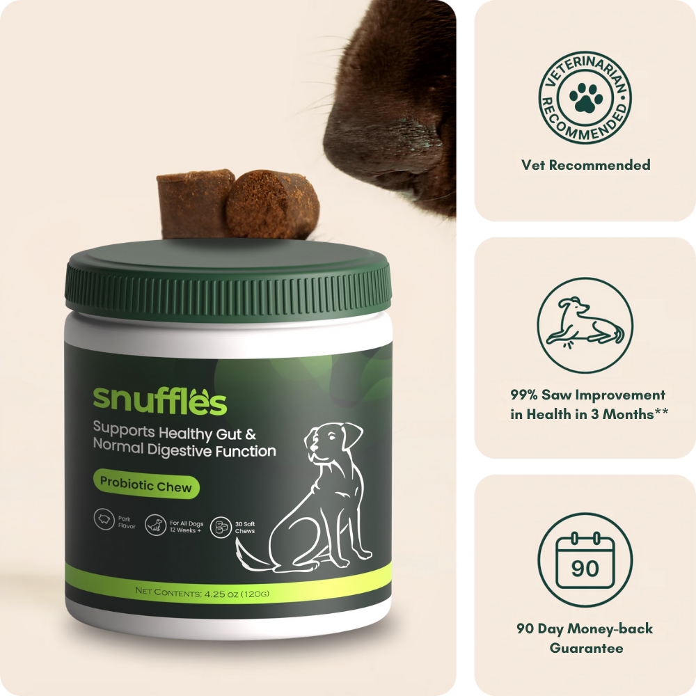 Snuffles Probiotic Chews – Advanced Gut & Digestive Support for Dogs