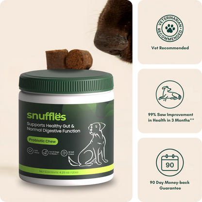 Snuffles Probiotic Chews – Advanced Gut & Digestive Support for Dogs